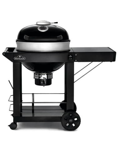 BBQ charbon PRO22K CART3
