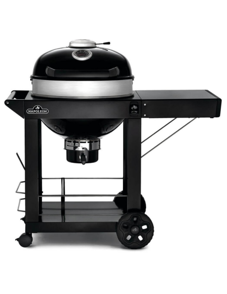 BBQ charbon PRO22K CART3