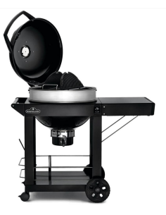 BBQ charbon PRO22K CART3