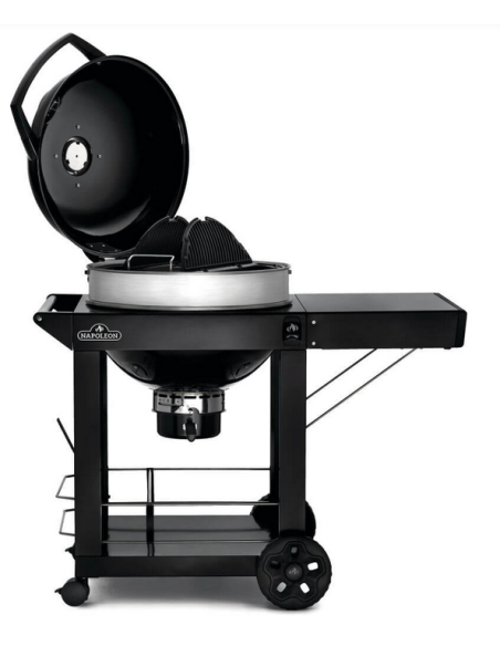 BBQ charbon PRO22K CART3