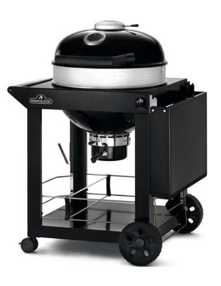 BBQ charbon PRO22K CART3