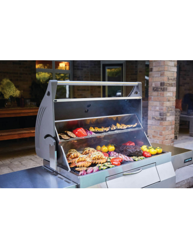 BBQ charbon de bois professionel PRO605CSS