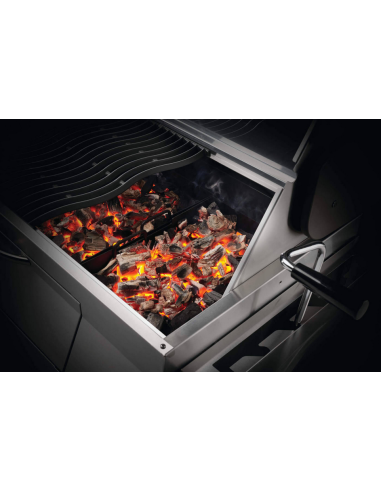 BBQ charbon de bois professionel PRO605CSS