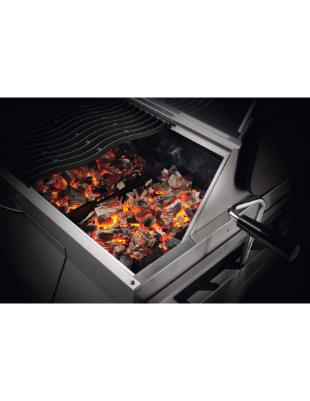 BBQ charbon de bois professionel PRO605CSS