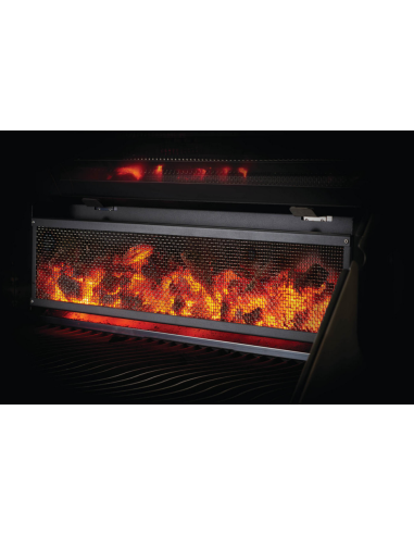 BBQ charbon de bois professionel PRO605CSS