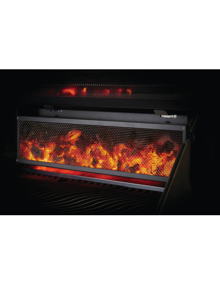 BBQ charbon de bois professionel PRO605CSS