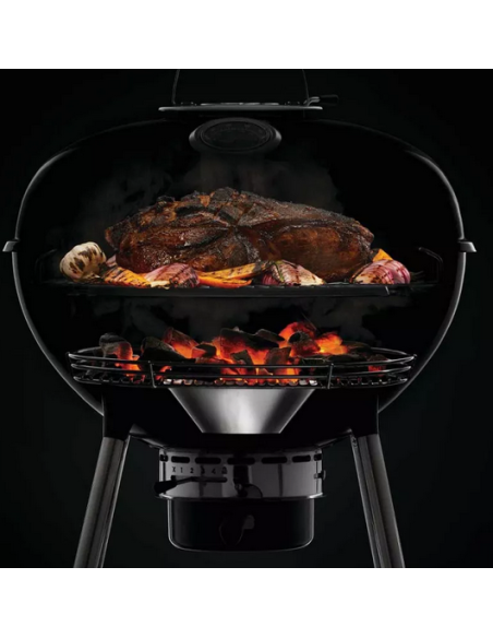 BBQ charbon PRO22K CART3