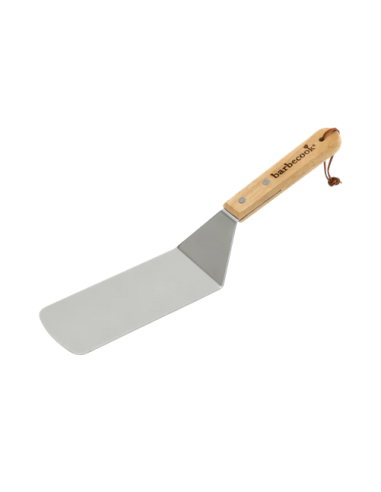 Spatule à poisson