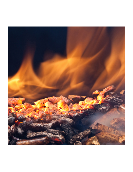 Pellets Pit Boss 9 KG Mélange de Mesquite Bois dur